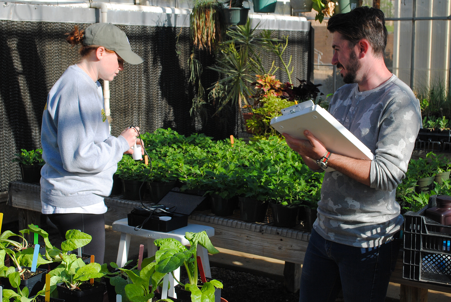 Green Thumbs Wanted: Join Our Diploma in Horticulture Program